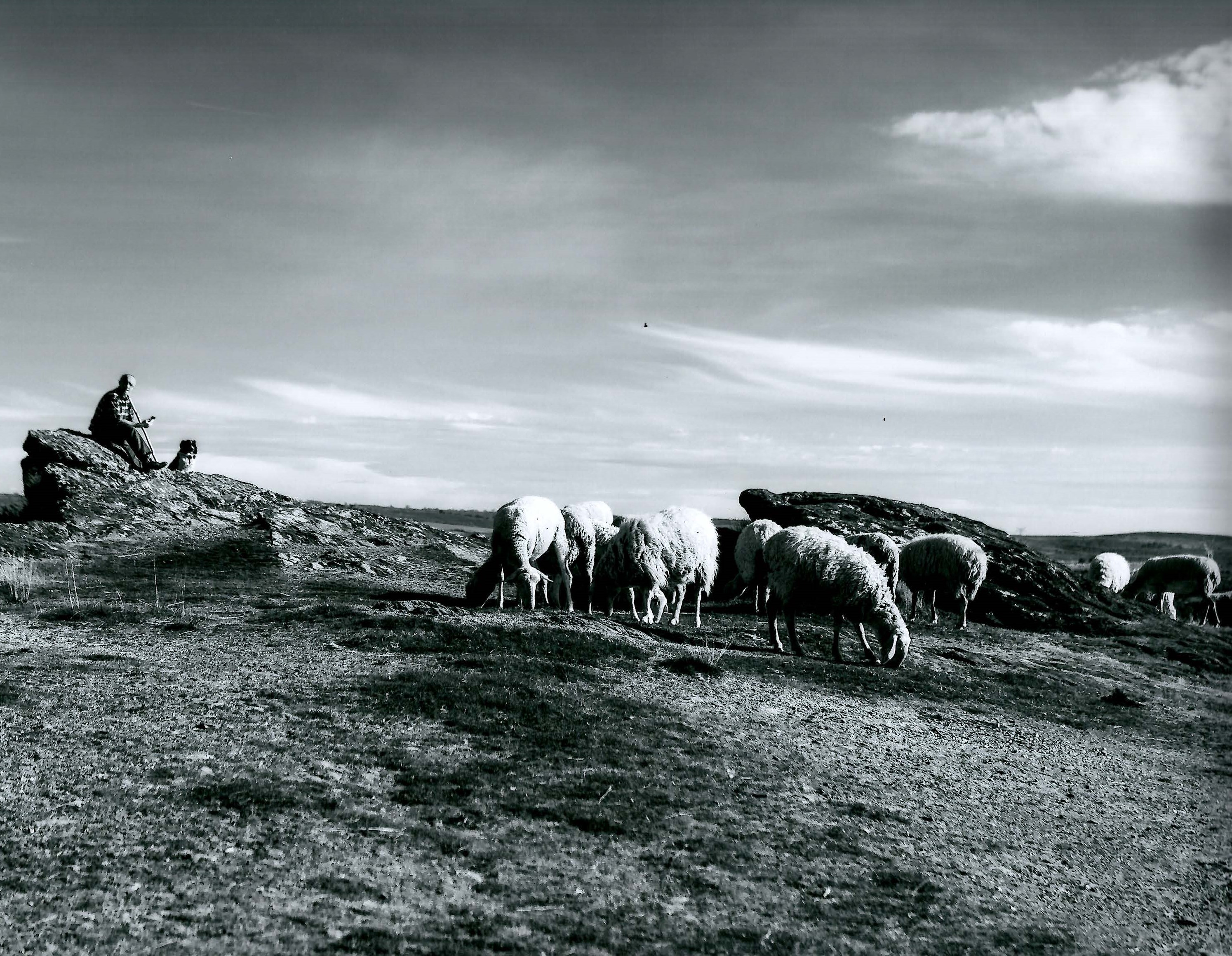 F. Concurso Fotografía Salamanca Agrícola y Ganadera