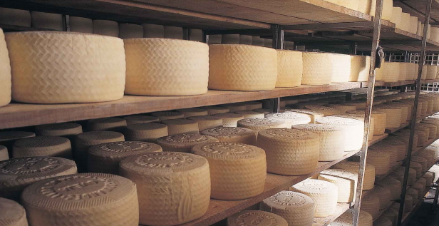 Imagen de curación de quesos