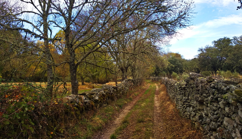 Foto Sendero Vitigudino Sostenible