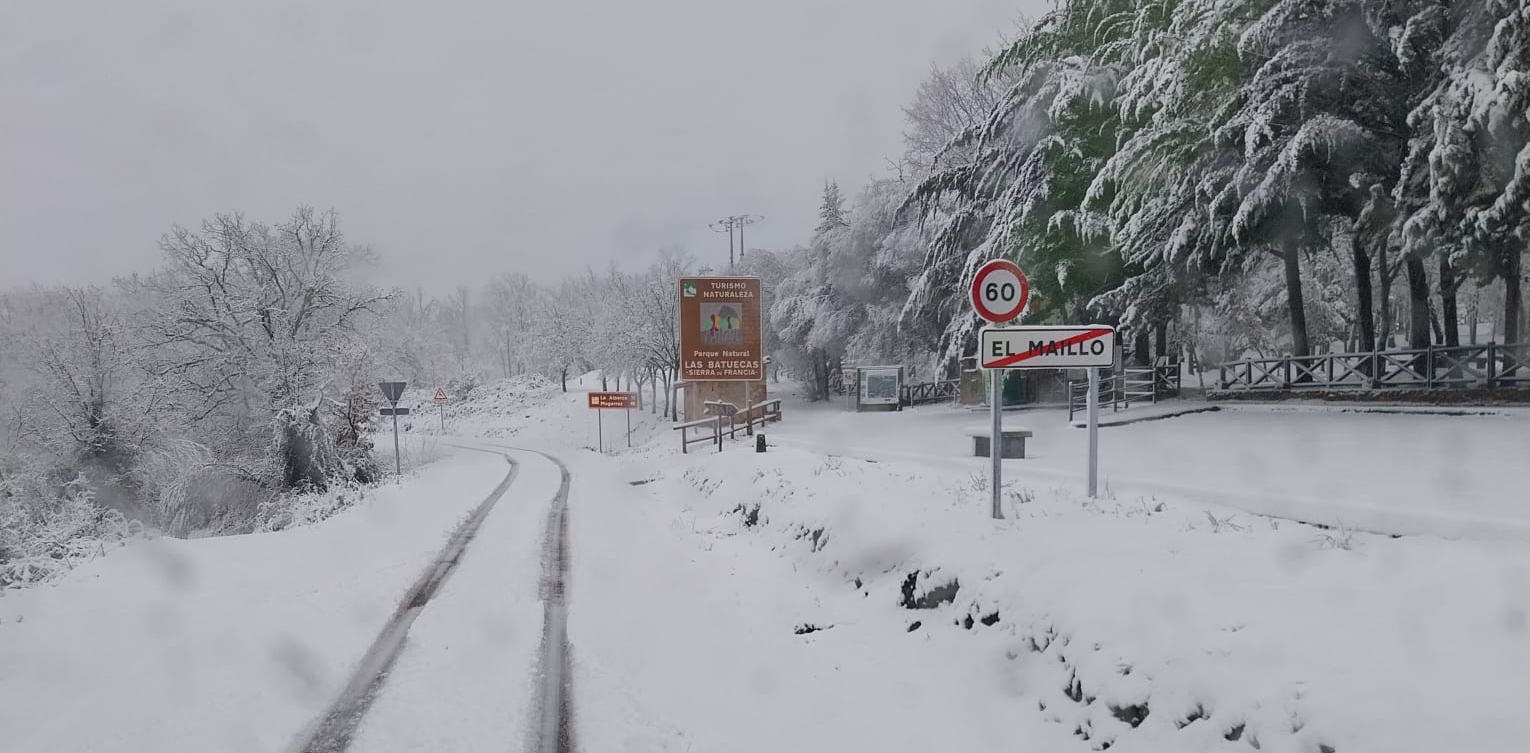 La carretera de El Maíllo repleta de nieve