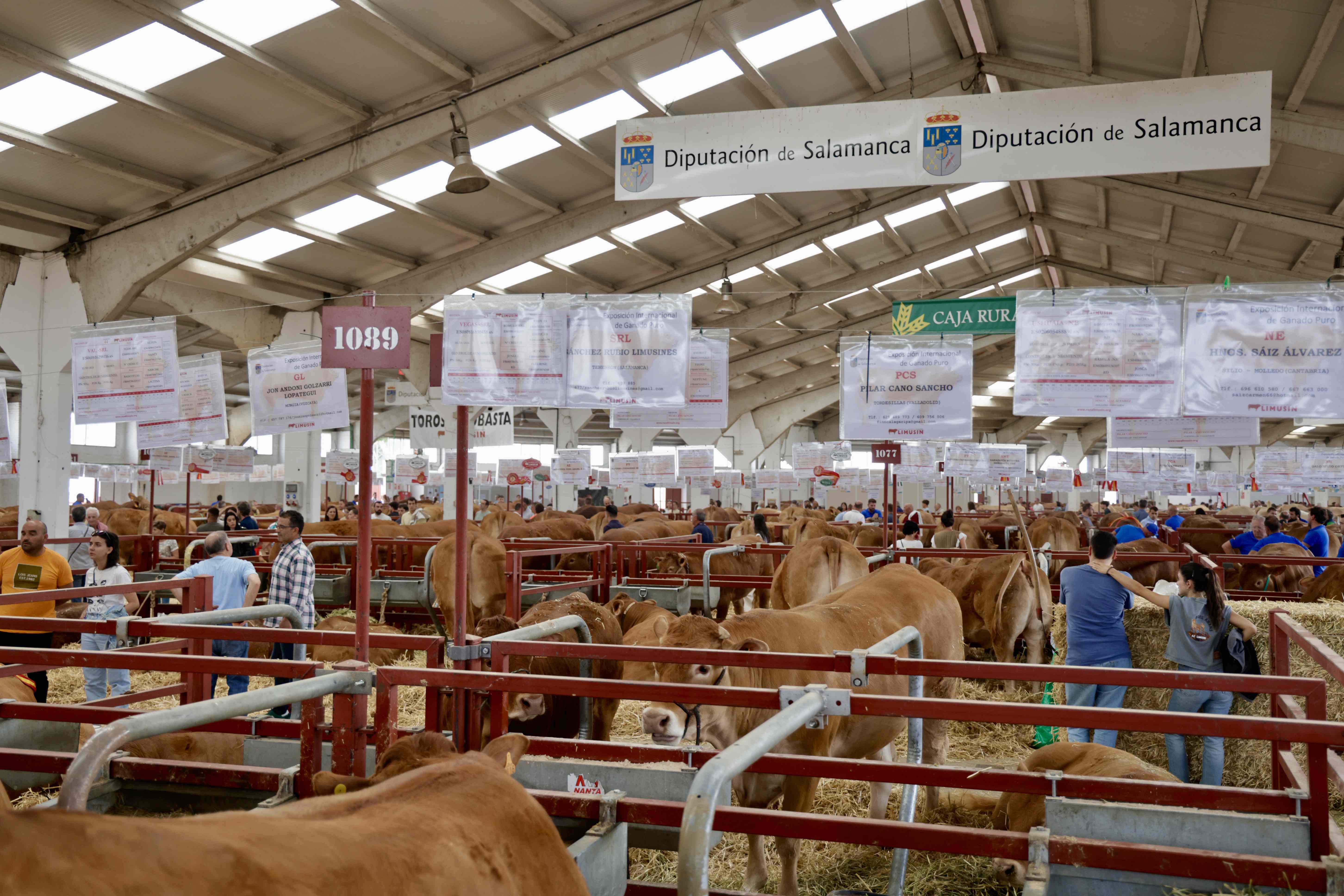 Feria Salamaq2025 2 Feria Salamaq2025 2