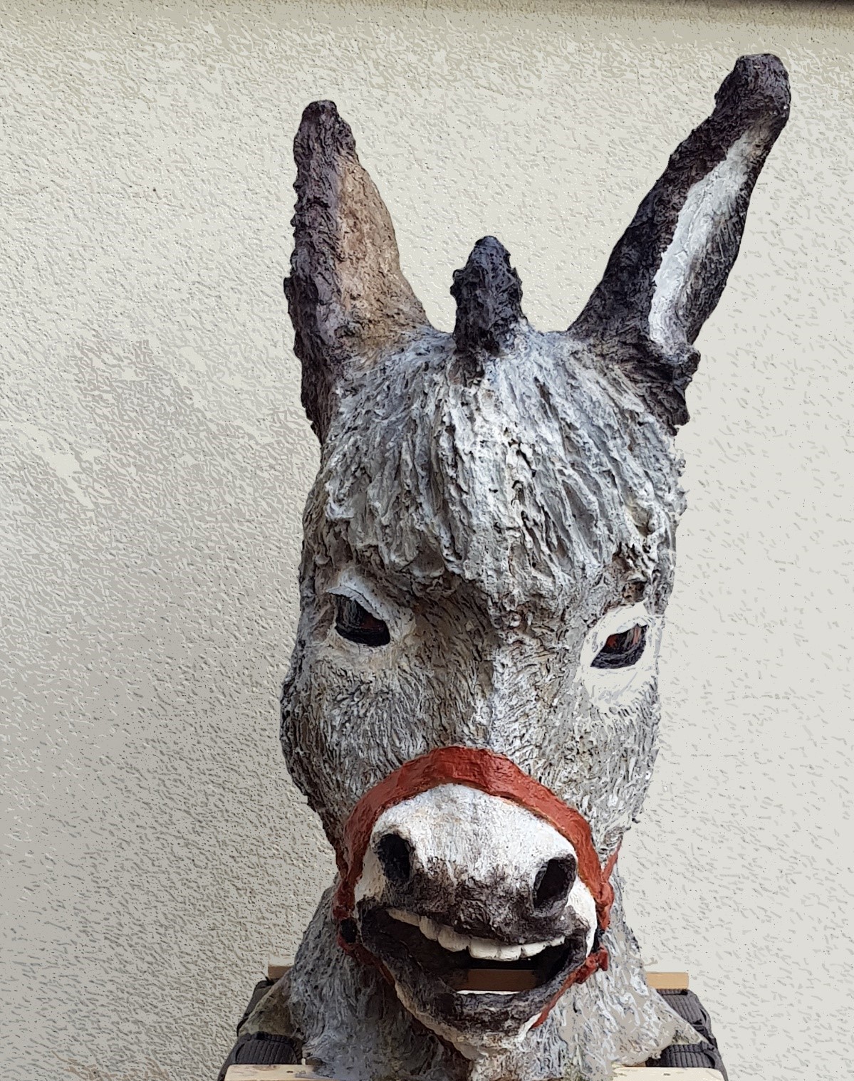 IMAGEN BURRO S