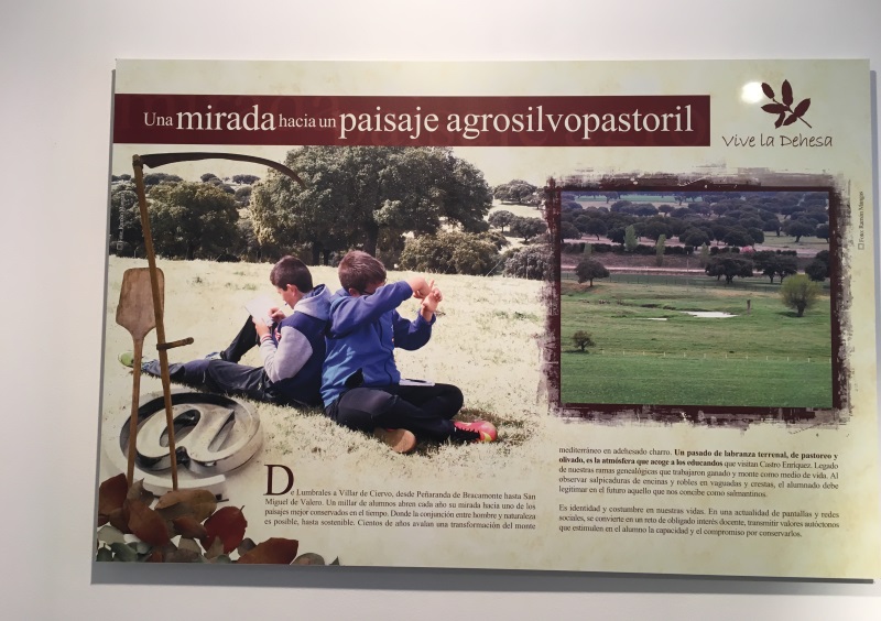 Exposición Vive la Dehesa 2018.