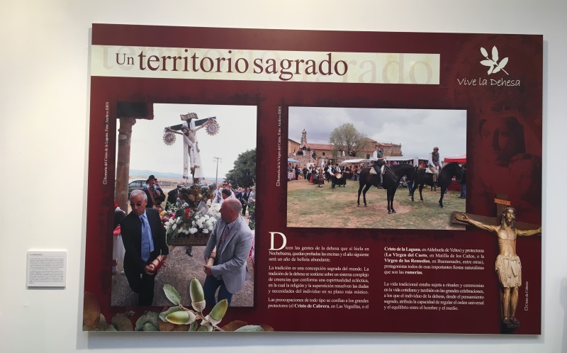 Exposición Vive la Dehesa 2018