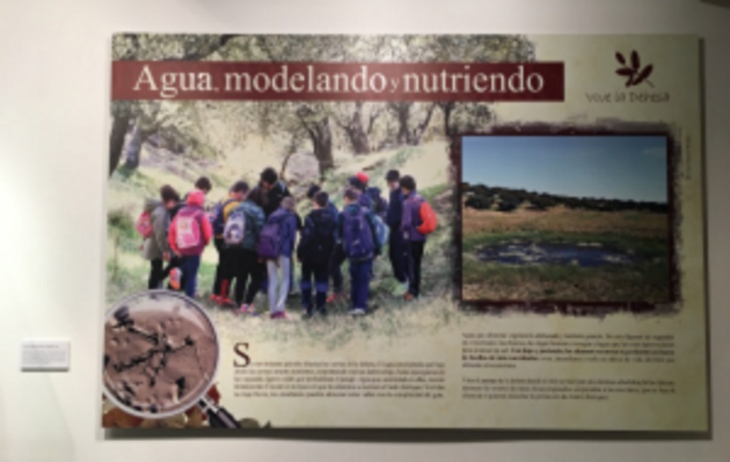 Exposición Vive la Dehesa 2018.