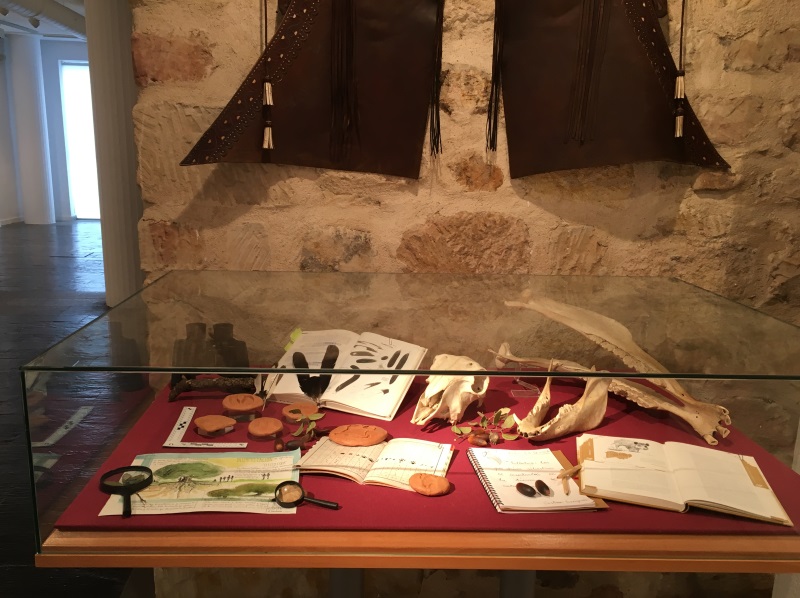 Exposición Vive la Dehesa 2018
