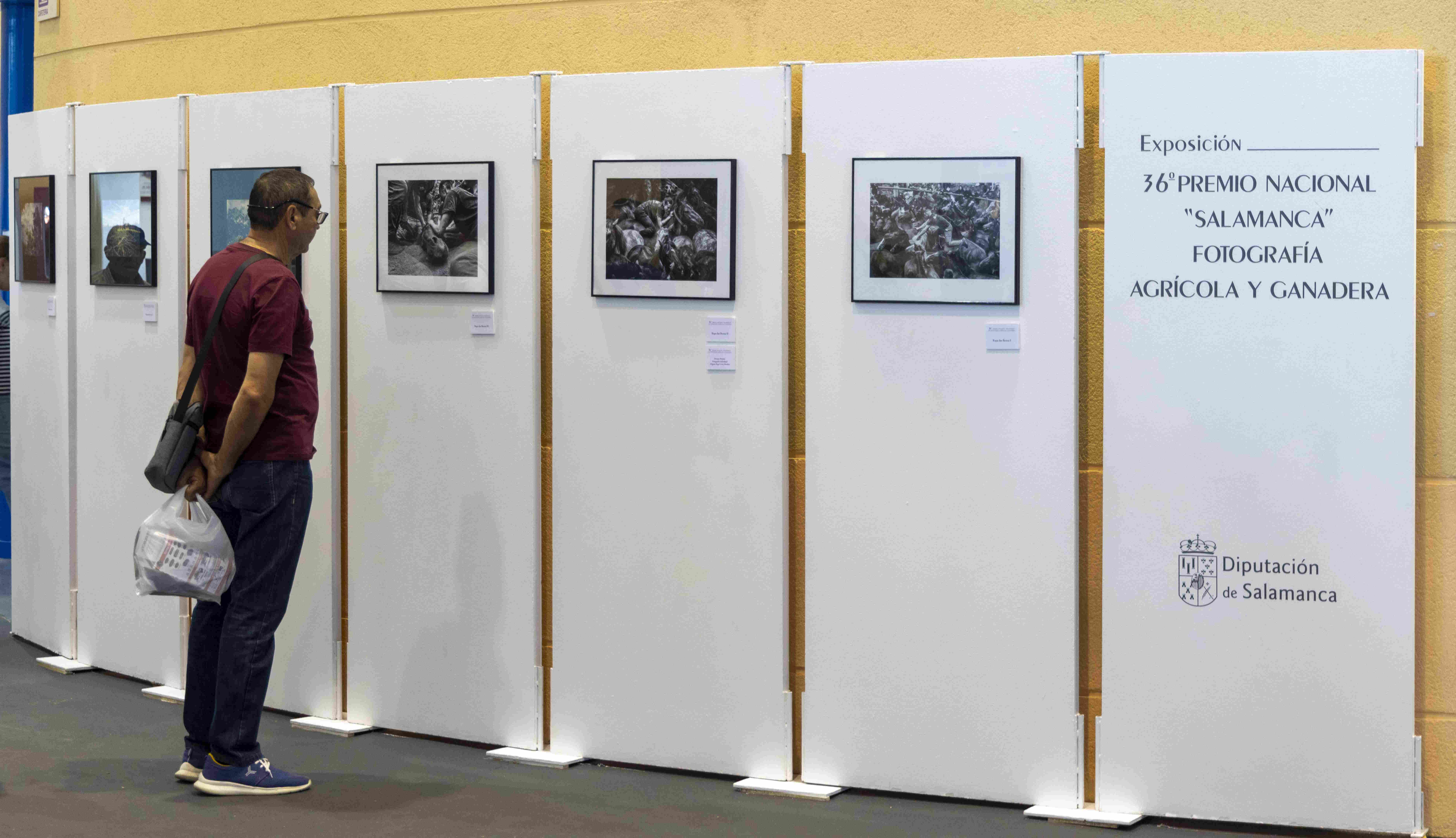 La Diputación convoca la 37 edición del Premio Nacional 