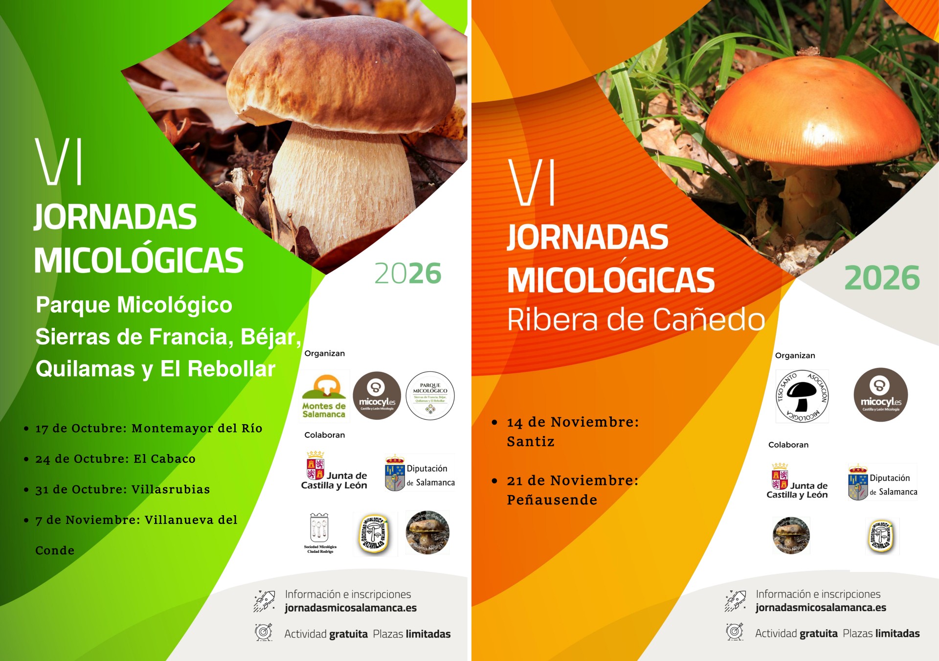 Cartel Jornadas Micológicas Otoño26 Cartel Jornadas Micológicas Otoño26